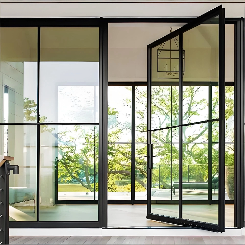 Aluminum Pivot-Hinged Door